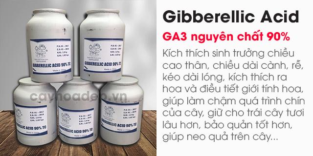 Bán Gibberellic Acid 90% (GA3) nguyên chất